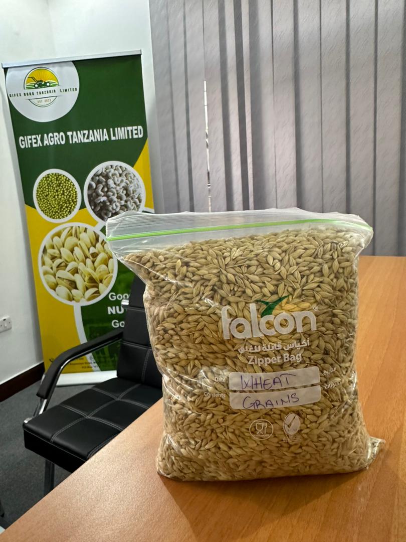 GIFEX%20AGRO%20TANZANIA%20LIMITED