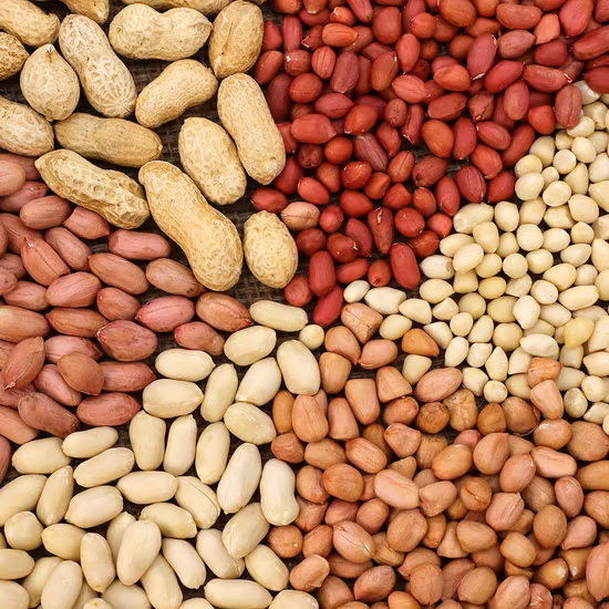 GIFEX AGRO TANZANIA LIMITED.