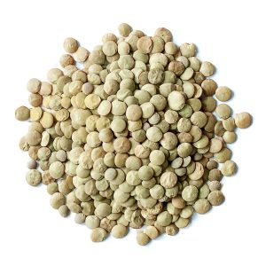 Bulk Wholesale Organic Whole Green Lentils